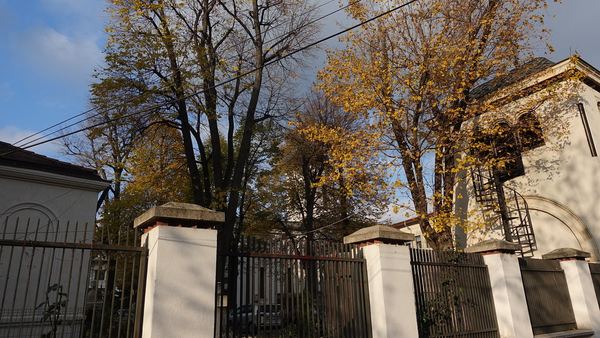 Молитва всецарице при онкологии за больного родственника