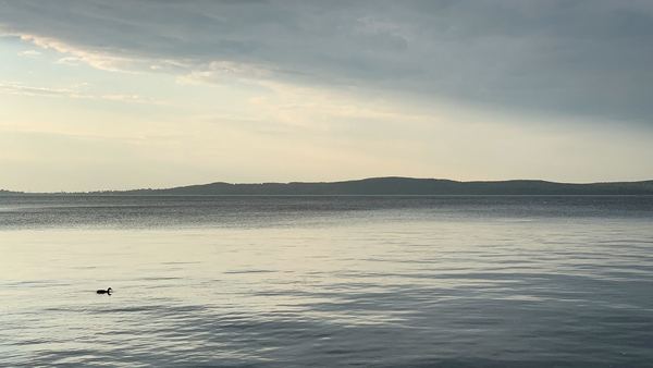 Святые петр и феврония муромские молитва