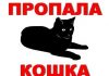 Молитва от черной кошки