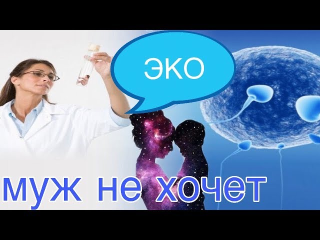 Молитва перед пункцией эко